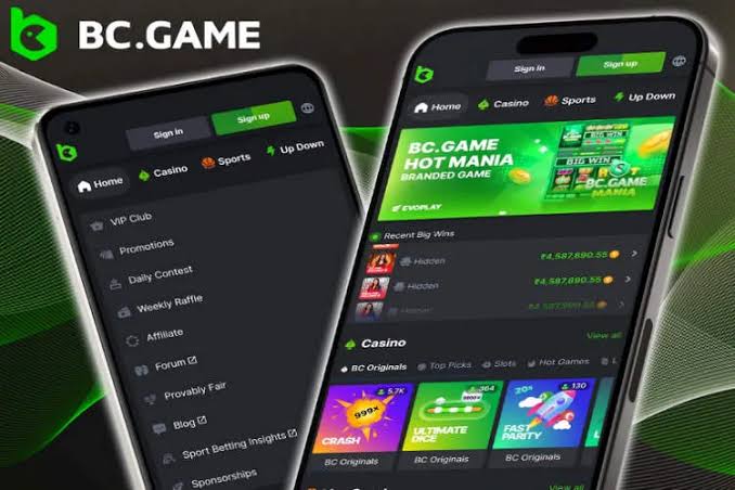 Global Crypto Casino BC.Game A Comprehensive Overview