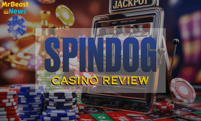 United Kingdom - spindog login United Kingdom - spindog login